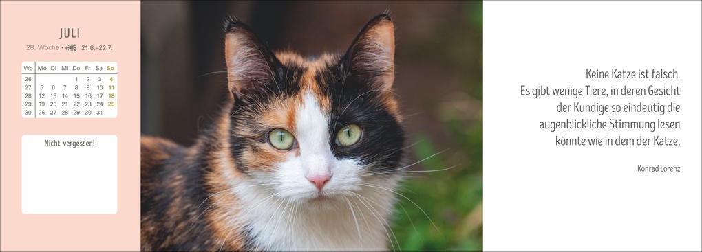 Weitere Ansicht: Katzen Premium-Tischplaner 2027 - Der literarische Wochenkalender mit Zitaten