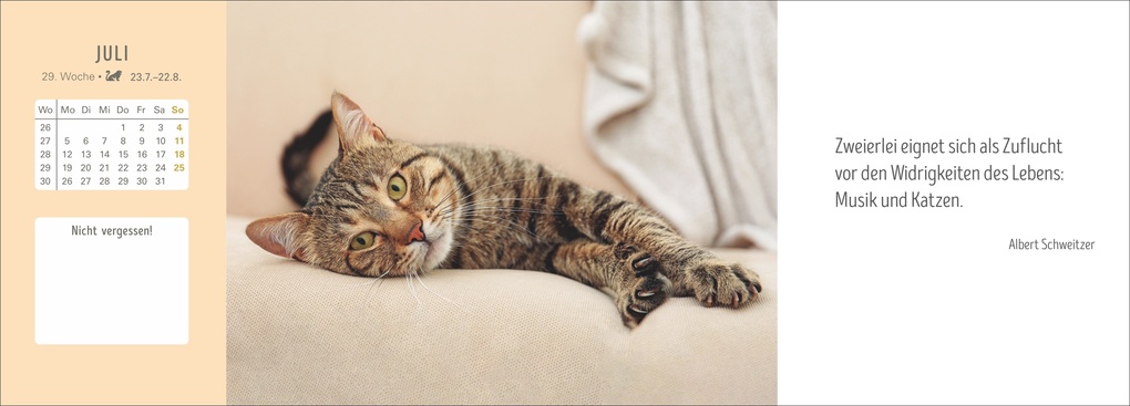 Weitere Ansicht: Katzen Premium-Tischplaner 2027 - Der literarische Wochenkalender mit Zitaten