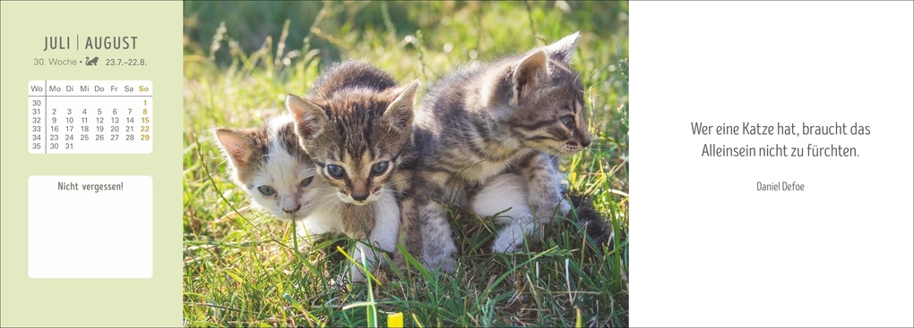 Weitere Ansicht: Katzen Premium-Tischplaner 2027 - Der literarische Wochenkalender mit Zitaten