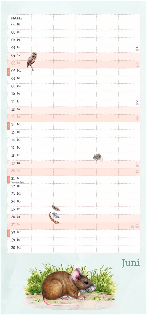 Weitere Ansicht: tm Tiere des Waldes Familienplaner 2027