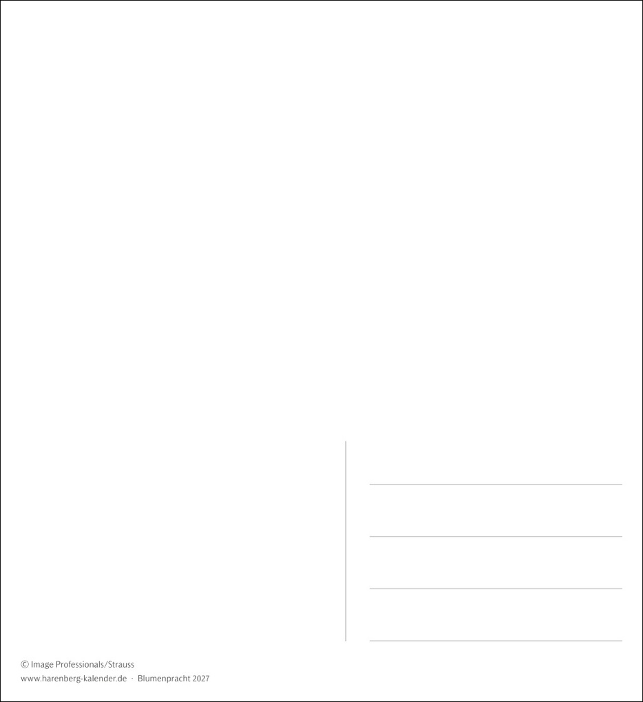 Weitere Ansicht: Blumenpracht Postkartenkalender 2027 - Wochenkalender mit 53 Postkarten
