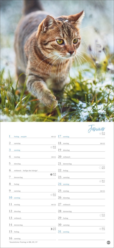Weitere Ansicht: Katzen slim - Auf sanften Pfoten Kalender 2027