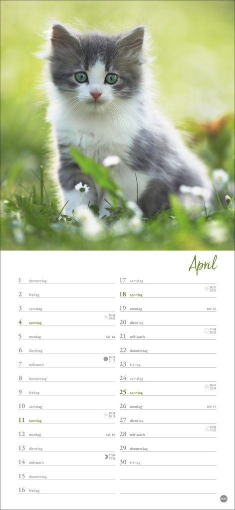 Weitere Ansicht: Katzen slim - Auf sanften Pfoten Kalender 2027