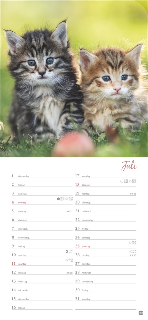 Weitere Ansicht: Katzen slim - Auf sanften Pfoten Kalender 2027