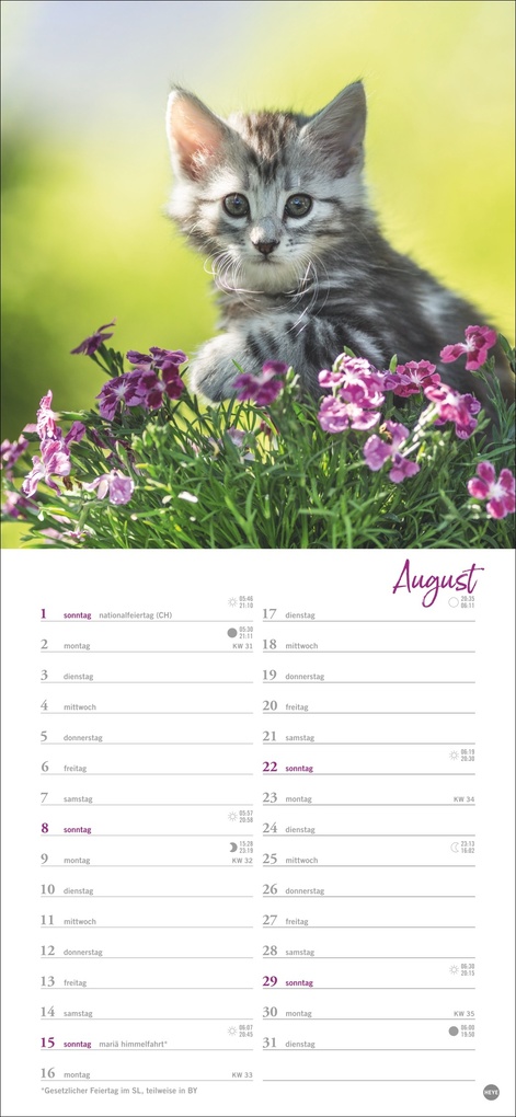Weitere Ansicht: Katzen slim - Auf sanften Pfoten Kalender 2027
