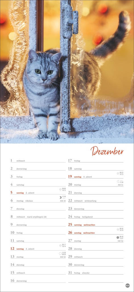 Weitere Ansicht: Katzen slim - Auf sanften Pfoten Kalender 2027