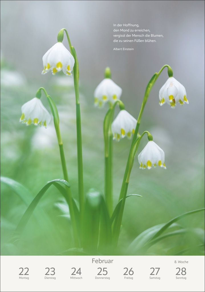 Weitere Ansicht: Literaturkalender Natur Wochen-Kulturkalender 2027 | Ruth Dangelmeier