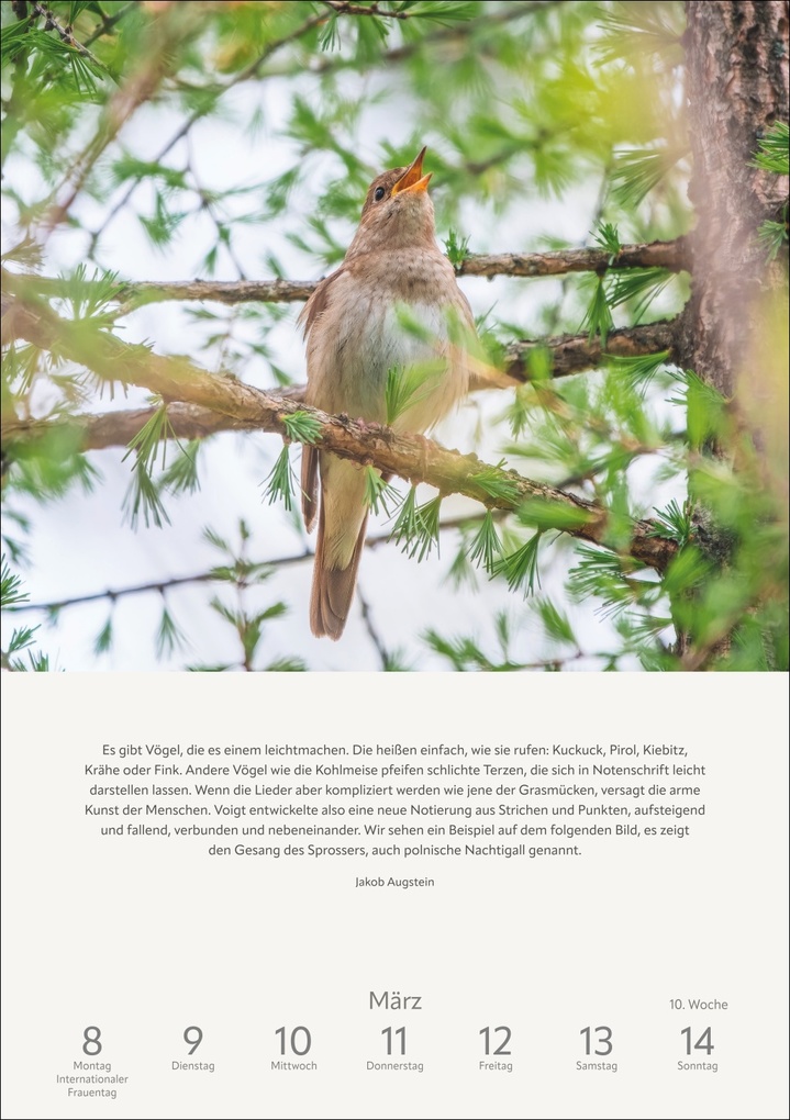 Weitere Ansicht: Literaturkalender Natur Wochen-Kulturkalender 2027 | Ruth Dangelmeier