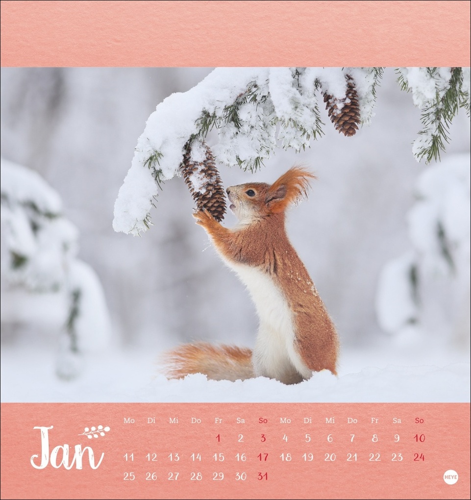 Weitere Ansicht: Vadim Trunov: Märchenhaftes Waldleben Postkartenkalender 2027