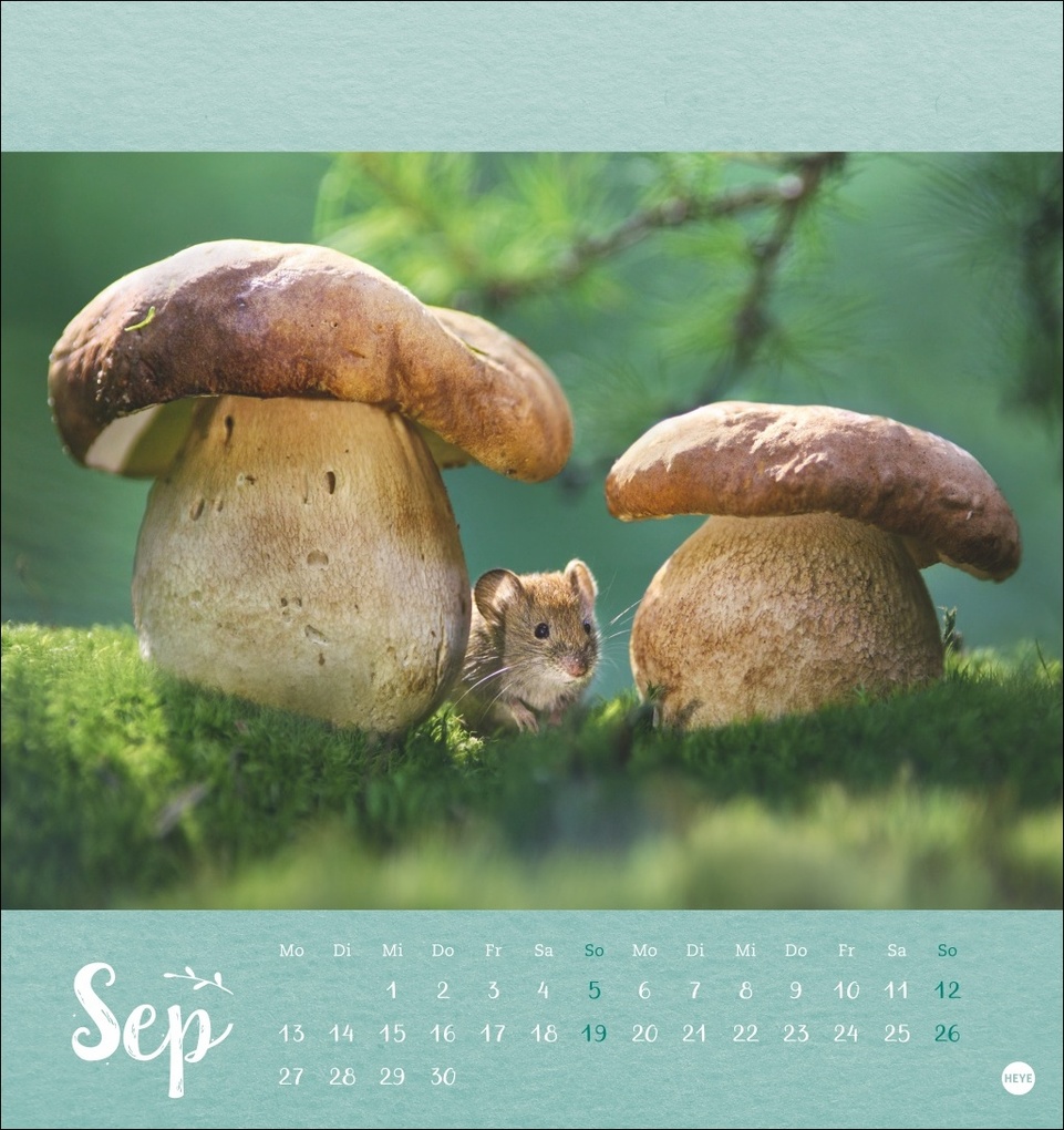 Weitere Ansicht: Vadim Trunov: Märchenhaftes Waldleben Postkartenkalender 2027