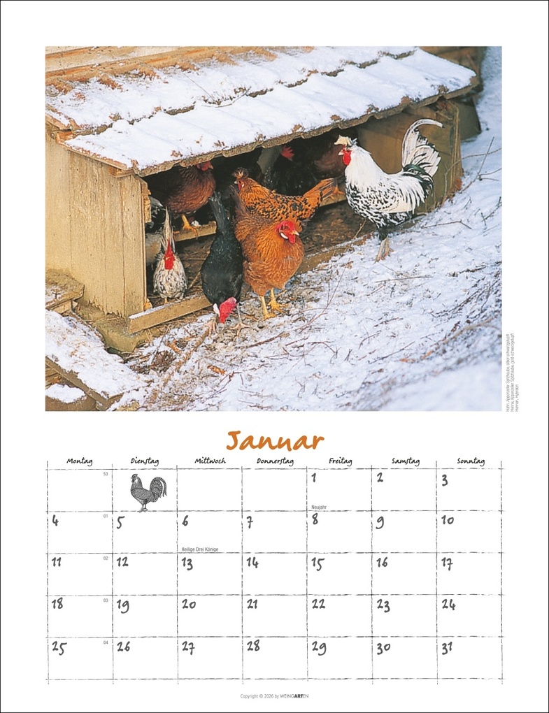 Weitere Ansicht: Der Hühnerkalender 2027