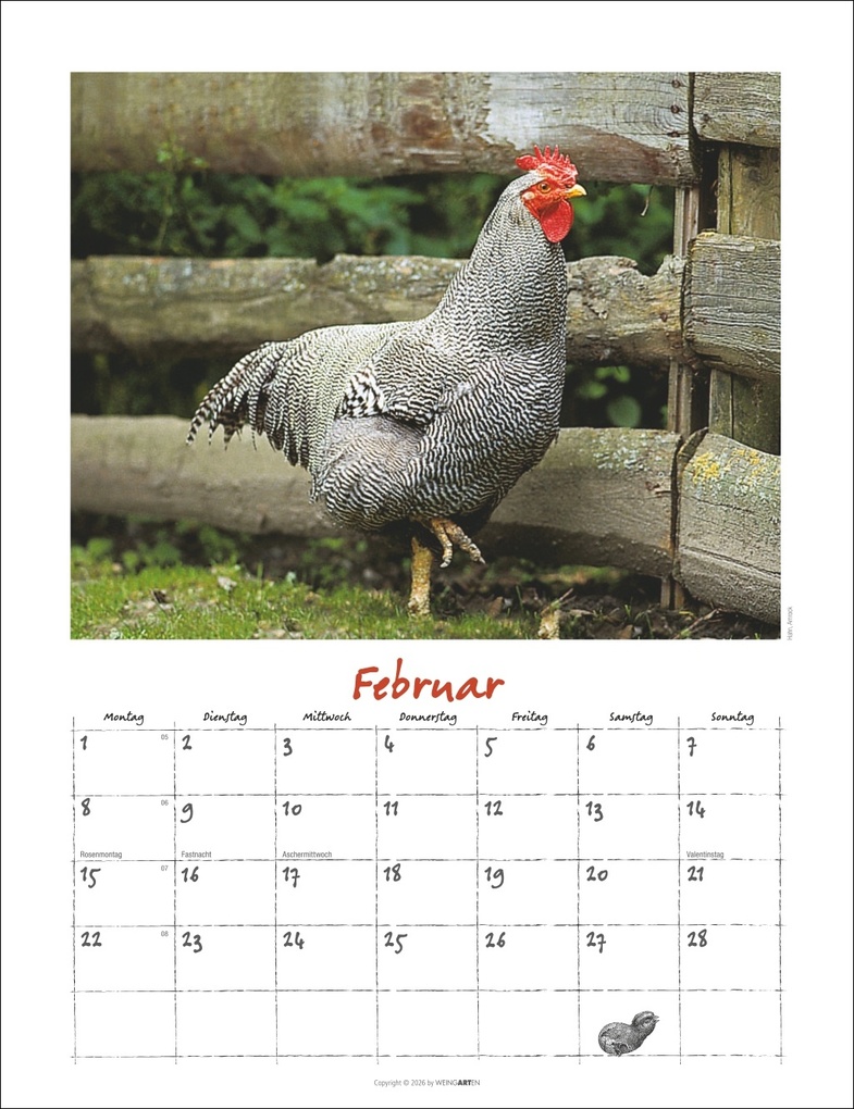 Weitere Ansicht: Der Hühnerkalender 2027