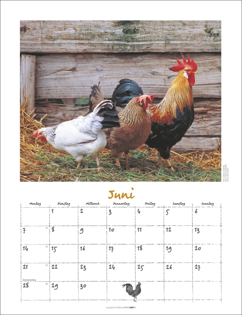 Weitere Ansicht: Der Hühnerkalender 2027