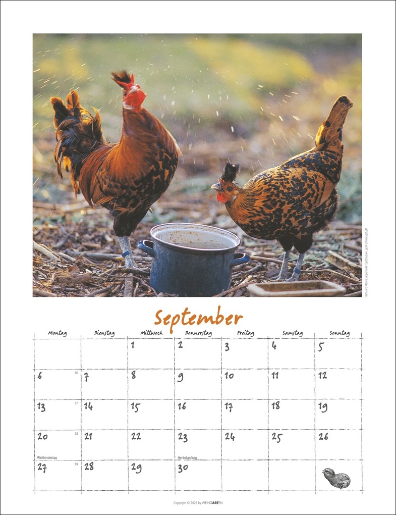 Weitere Ansicht: Der Hühnerkalender 2027
