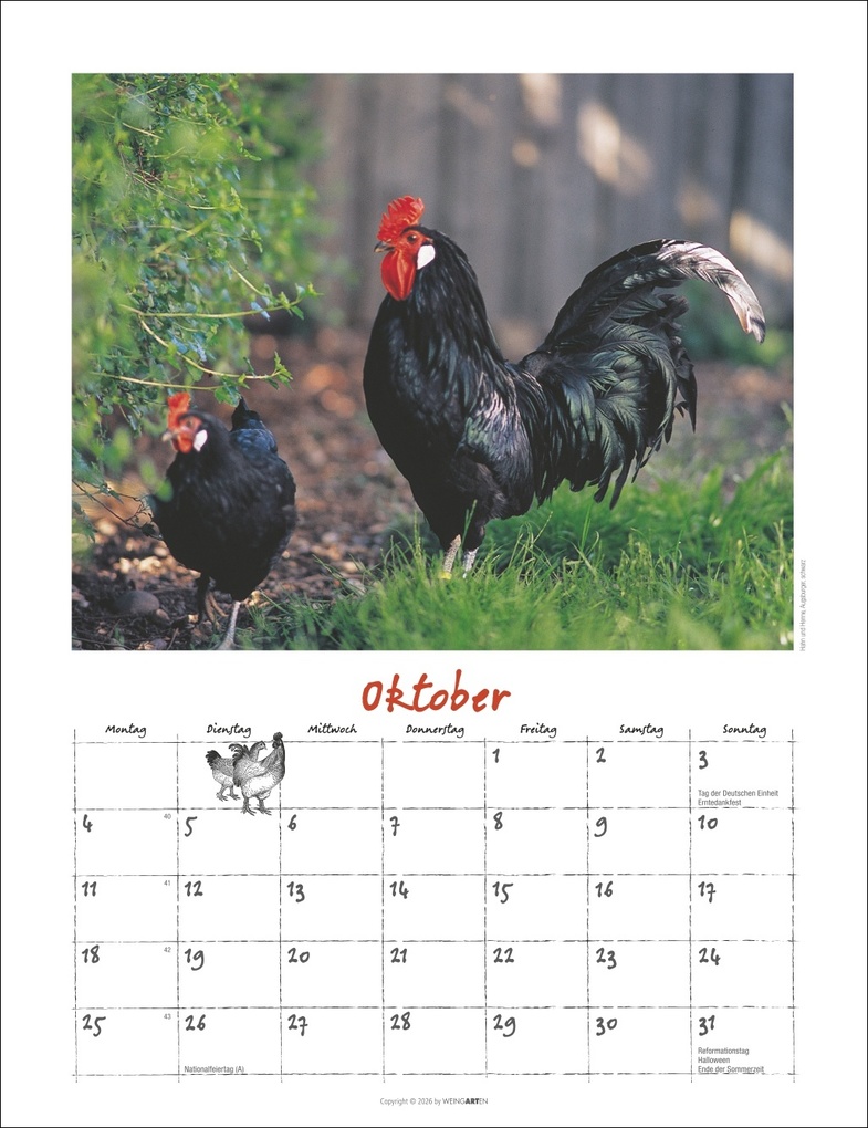 Weitere Ansicht: Der Hühnerkalender 2027