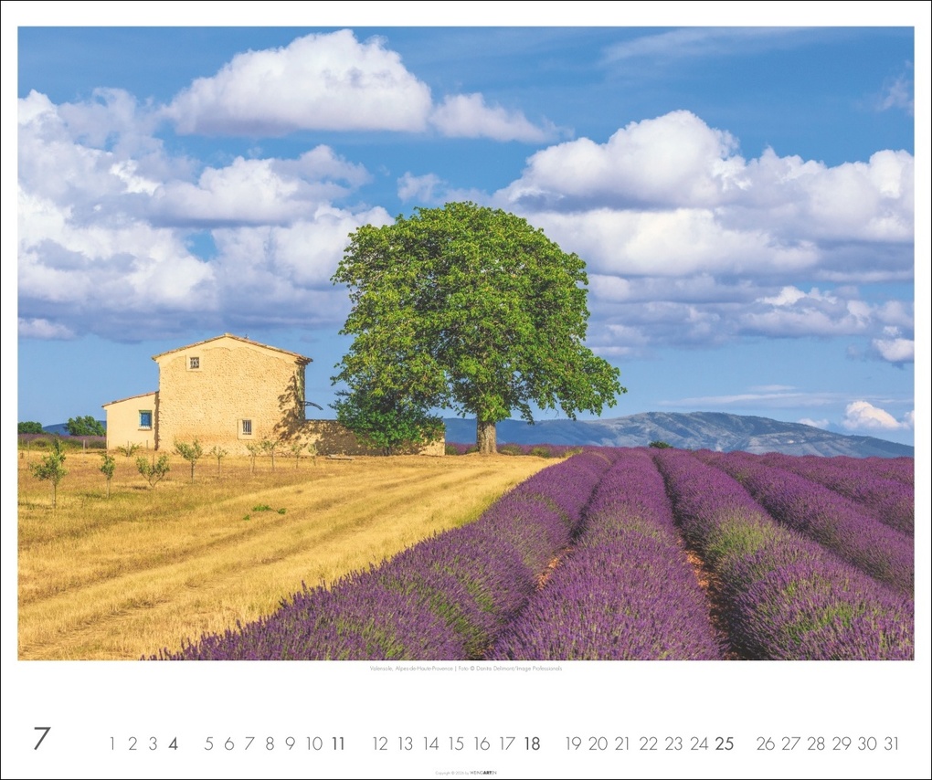 Weitere Ansicht: Provence Kalender 2027 - Blühende Lavendelfelder und malerische Dörfer