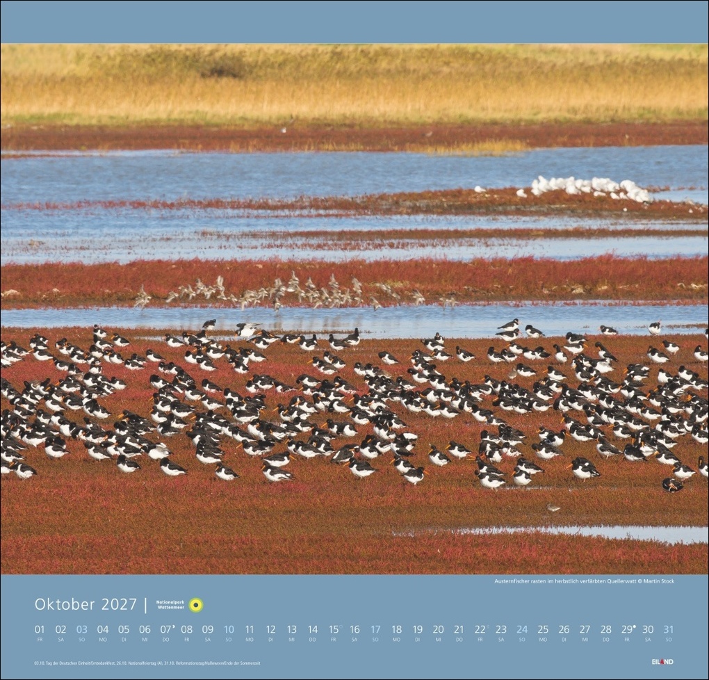 Weitere Ansicht: Nationalpark Wattenmeer Edition Kalender 2027 - Martin Stock