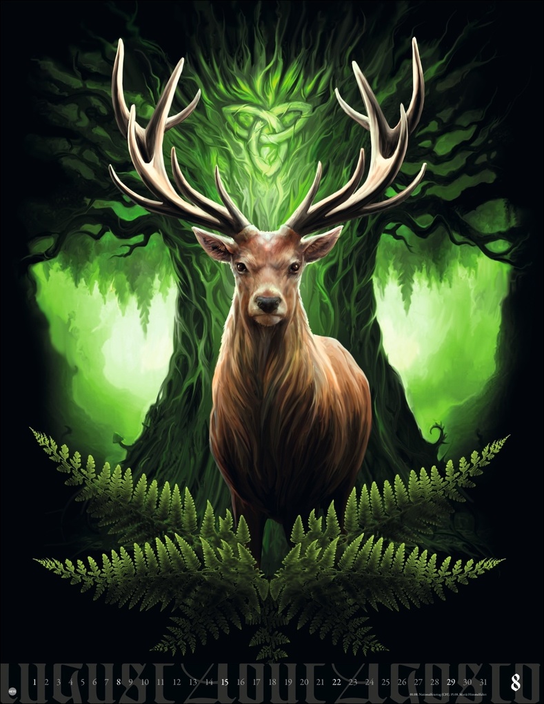 Weitere Ansicht: Anne Stokes: Mystic World Posterkalender 2027 | Anne Stokes