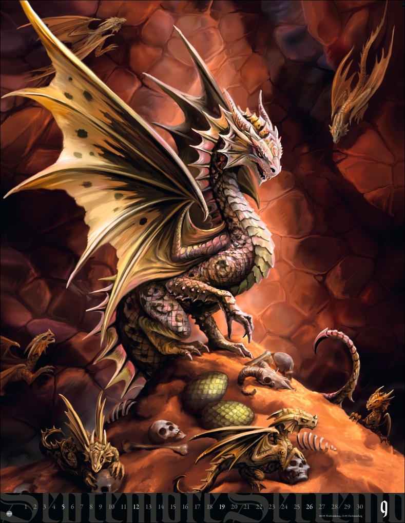 Weitere Ansicht: Anne Stokes: Mystic World Posterkalender 2027 | Anne Stokes