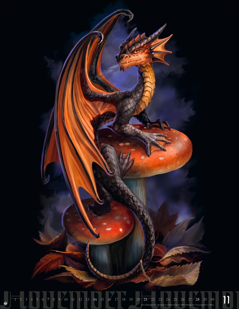 Weitere Ansicht: Anne Stokes: Mystic World Posterkalender 2027 | Anne Stokes