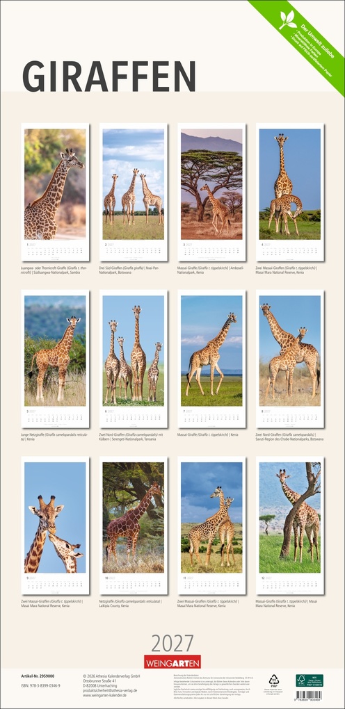 Weitere Ansicht: Giraffen Kalender 2027
