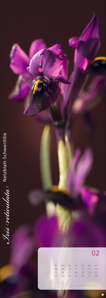 Weitere Ansicht: Magic Flowers Vertical Kalender 2027