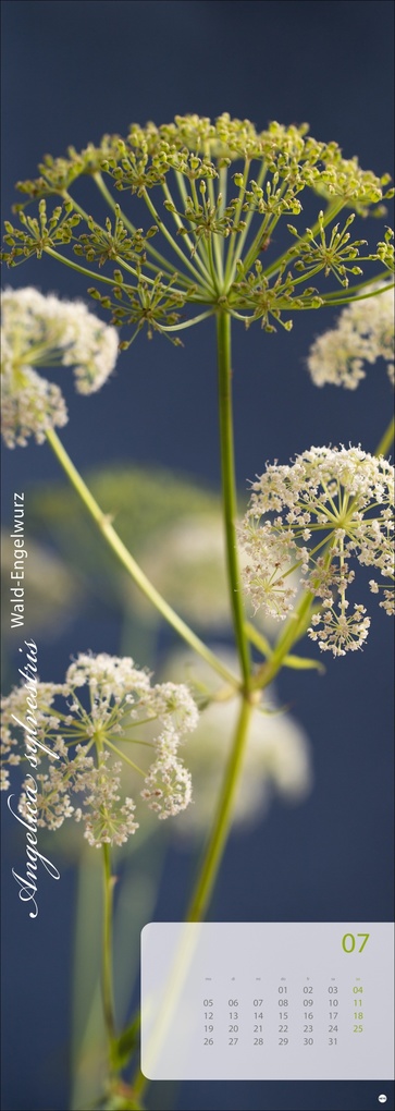 Weitere Ansicht: Magic Flowers Vertical Kalender 2027