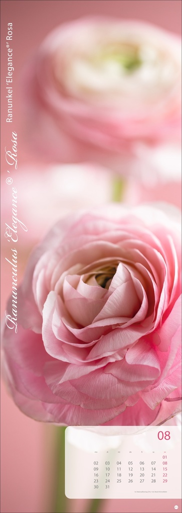 Weitere Ansicht: Magic Flowers Vertical Kalender 2027