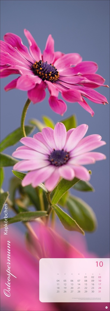 Weitere Ansicht: Magic Flowers Vertical Kalender 2027