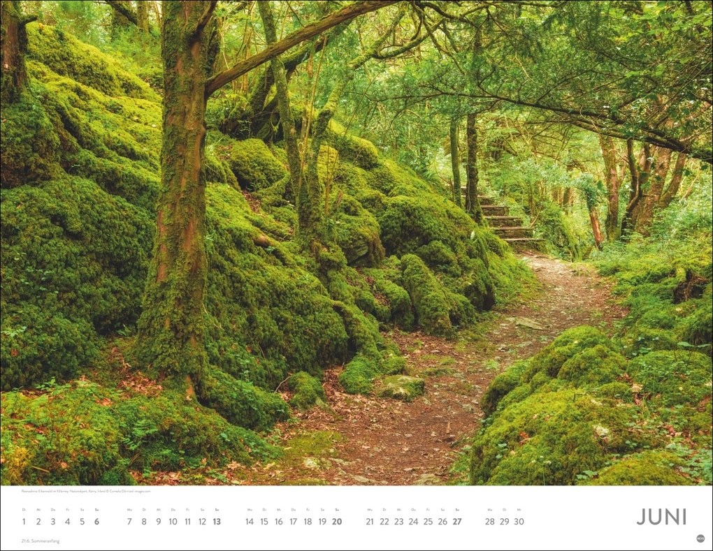 Weitere Ansicht: Auf Traumpfaden Posterkalender 2027