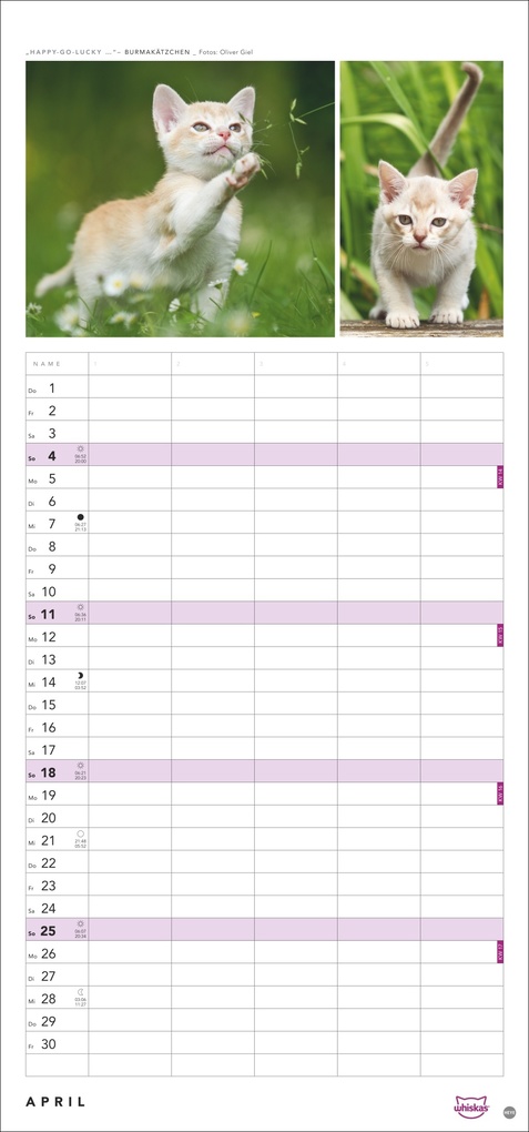 Weitere Ansicht: Whiskas Familienplaner 2027