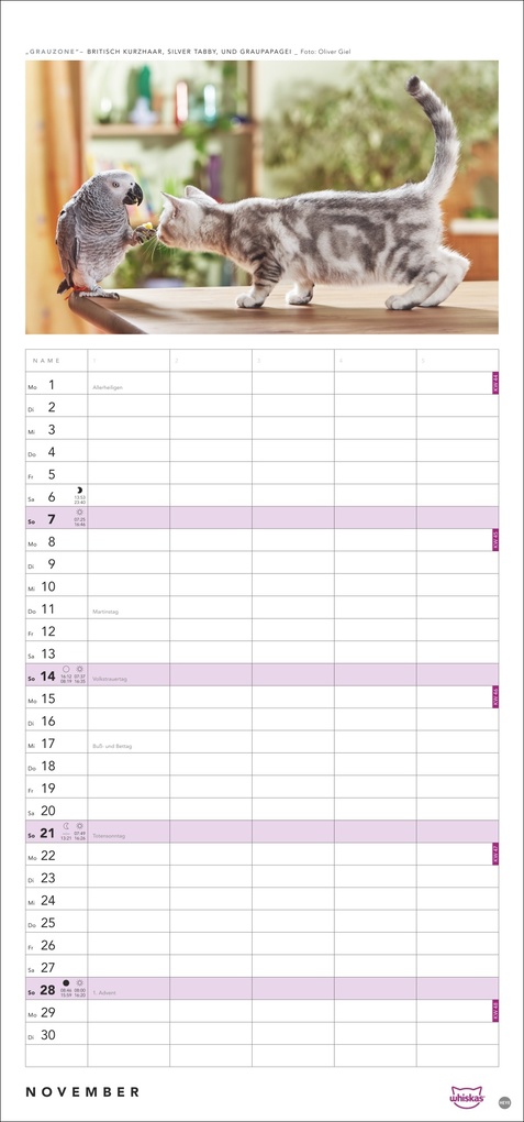 Weitere Ansicht: Whiskas Familienplaner 2027