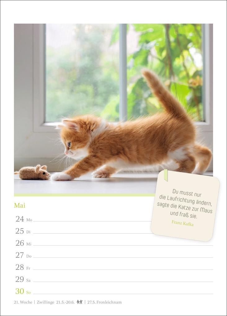Weitere Ansicht: Katzenglück Wochenkalender 2027 - mit Zitaten