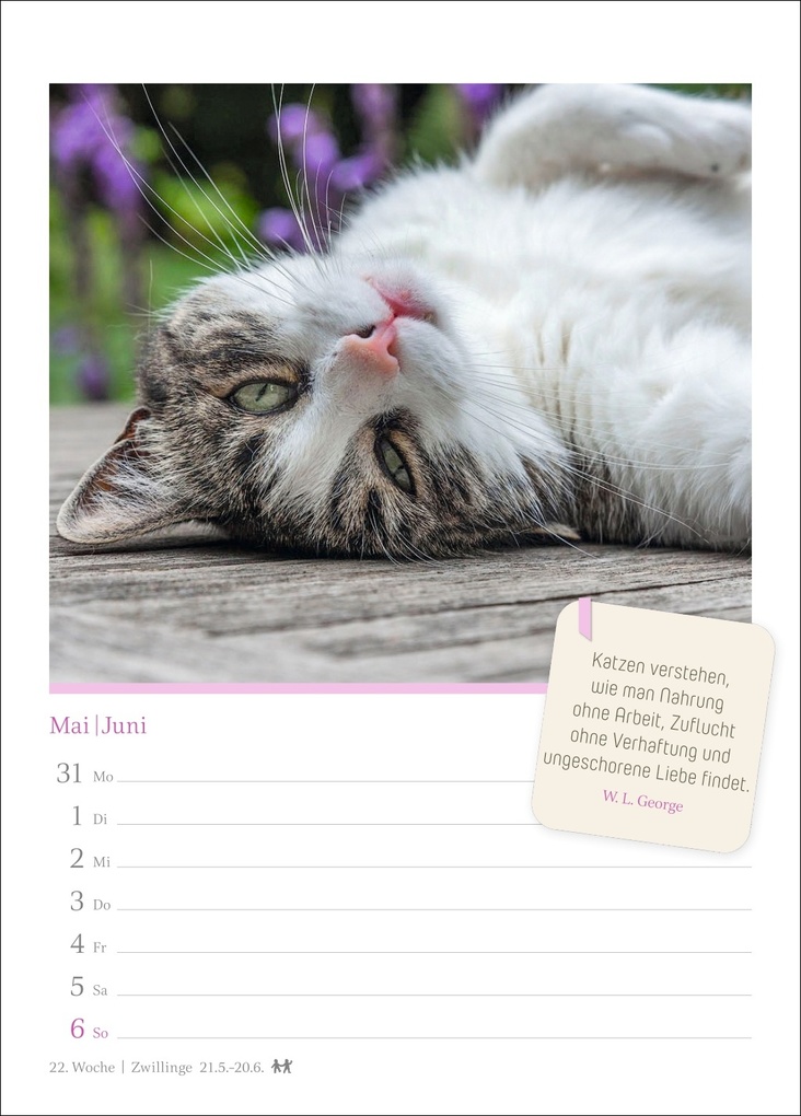 Weitere Ansicht: Katzenglück Wochenkalender 2027 - mit Zitaten