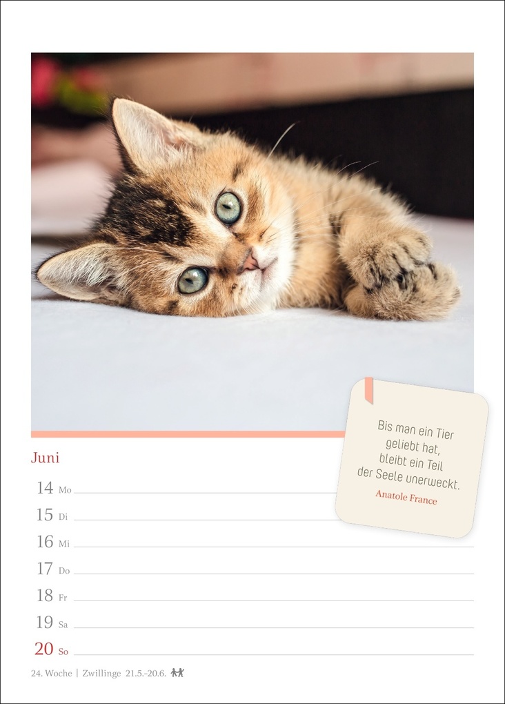 Weitere Ansicht: Katzenglück Wochenkalender 2027 - mit Zitaten