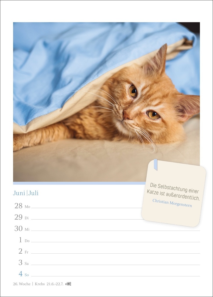 Weitere Ansicht: Katzenglück Wochenkalender 2027 - mit Zitaten