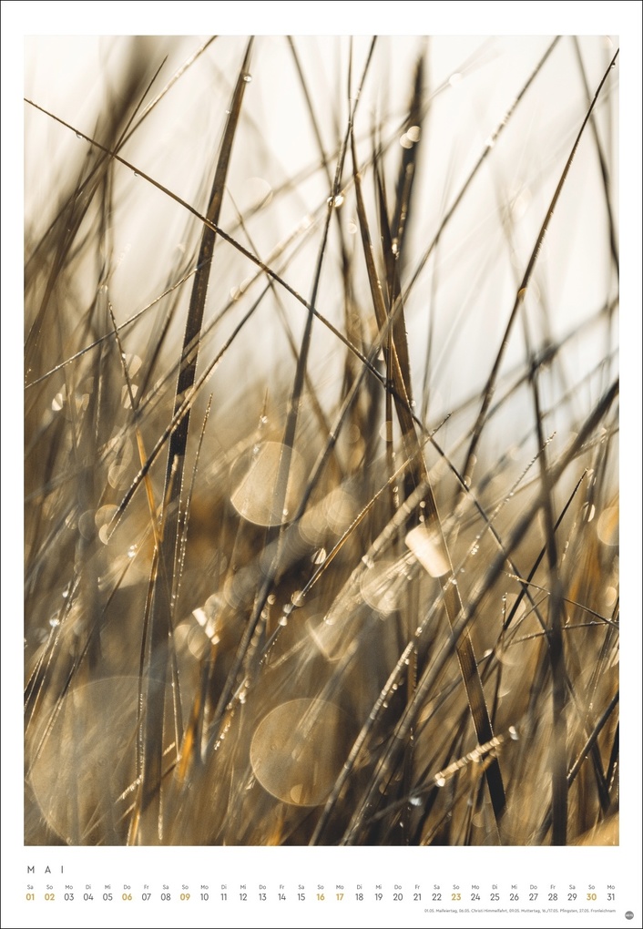 Weitere Ansicht: Mareike Böhmer: pure & simple Kalender 2027