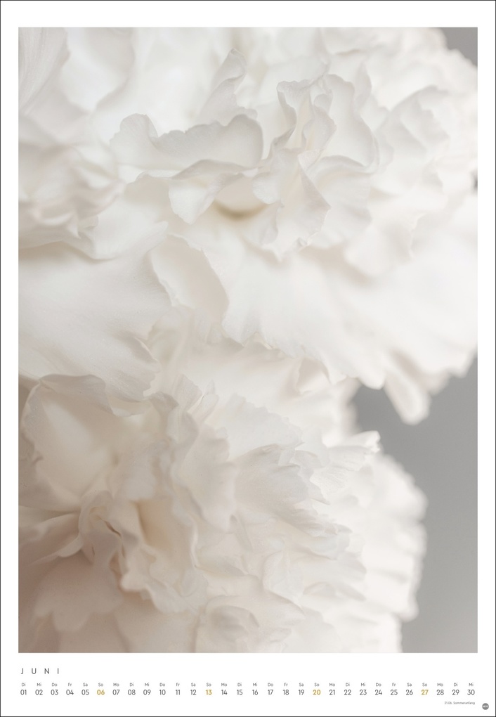 Weitere Ansicht: Mareike Böhmer: pure & simple Kalender 2027