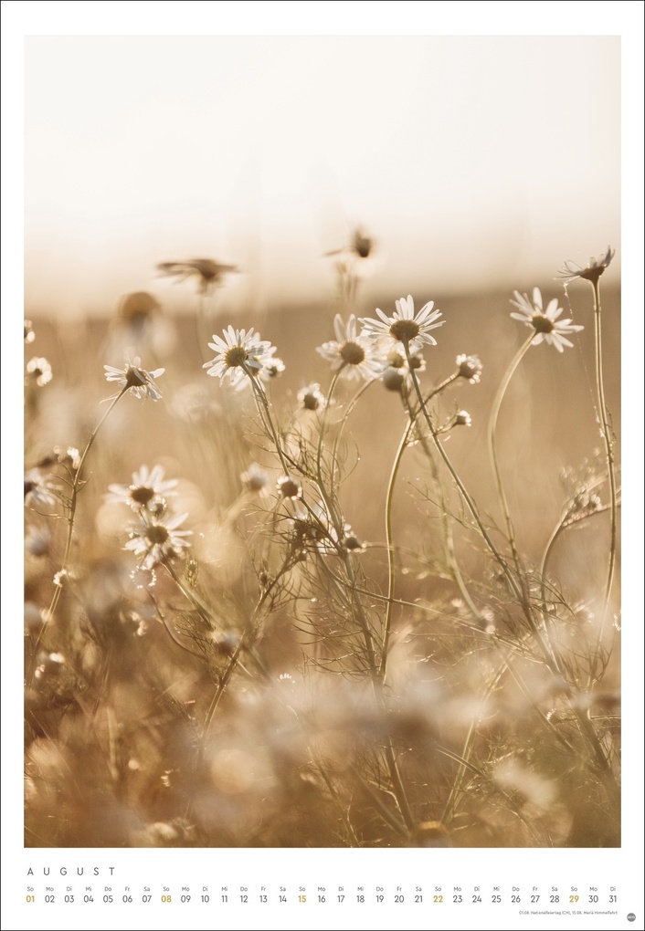 Weitere Ansicht: Mareike Böhmer: pure & simple Kalender 2027