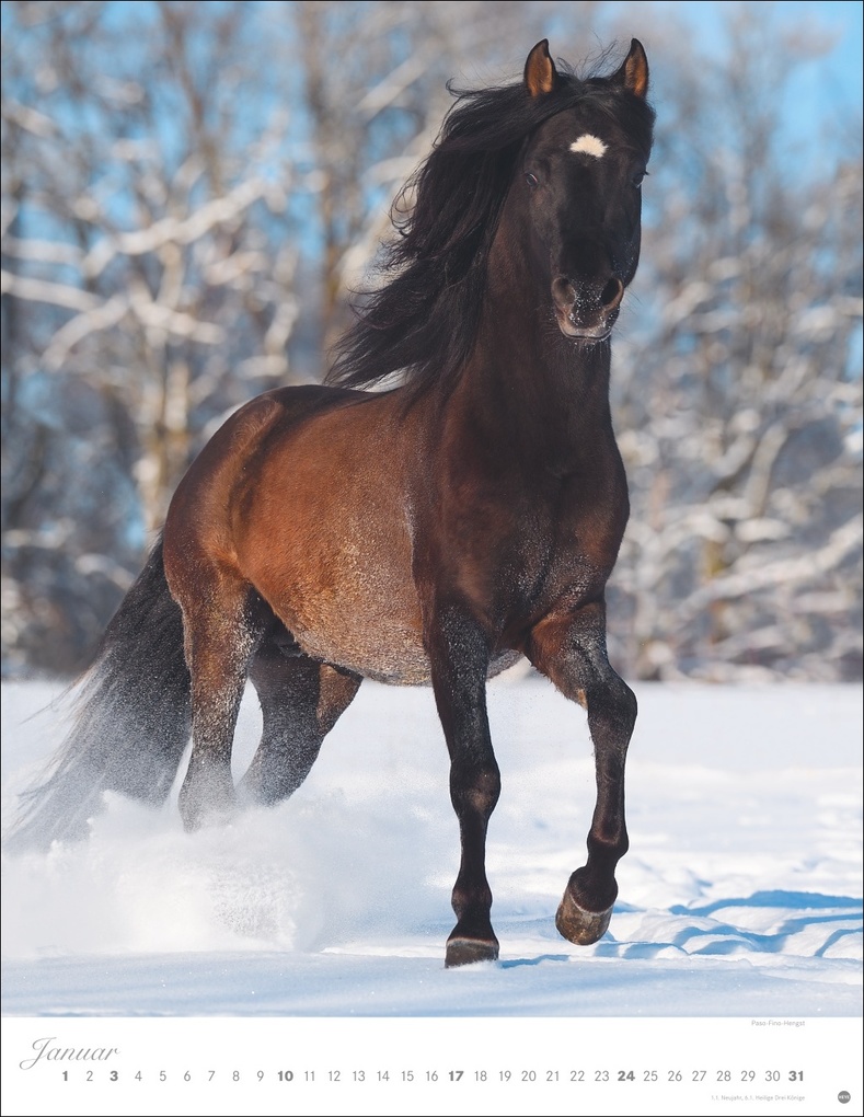 Weitere Ansicht: Pferde Classics Posterkalender 2027