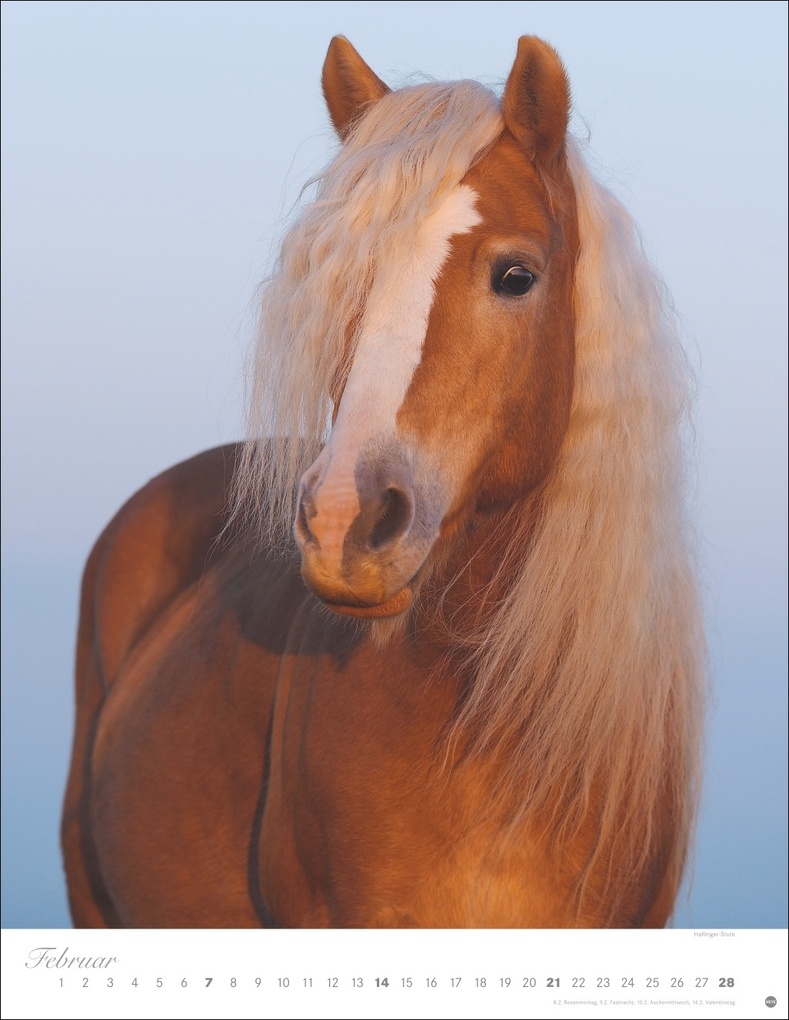 Weitere Ansicht: Pferde Classics Posterkalender 2027