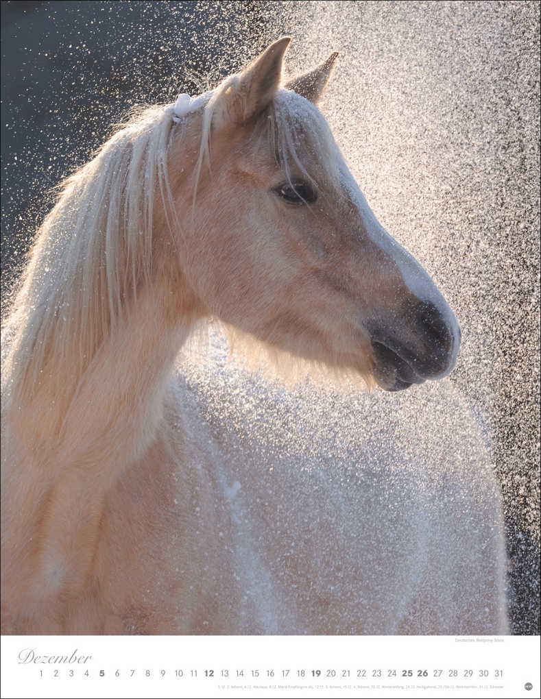 Weitere Ansicht: Pferde Classics Posterkalender 2027