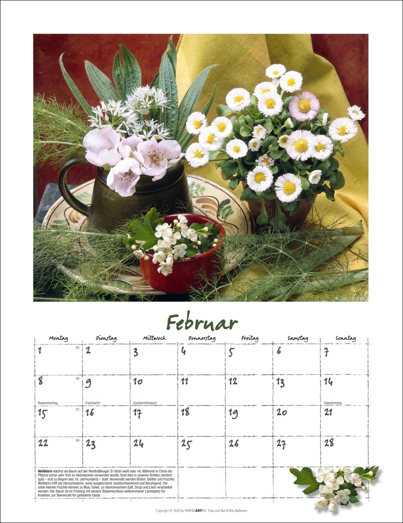 Weitere Ansicht: Augenschmaus Kalender 2027 - Gewürze und Kräuter rund ums Jahr