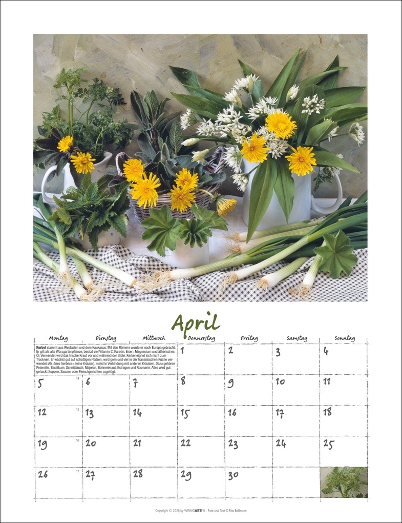 Weitere Ansicht: Augenschmaus Kalender 2027 - Gewürze und Kräuter rund ums Jahr