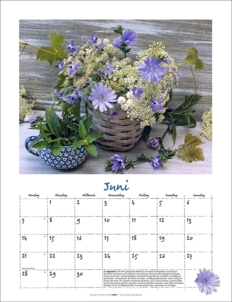 Weitere Ansicht: Augenschmaus Kalender 2027 - Gewürze und Kräuter rund ums Jahr