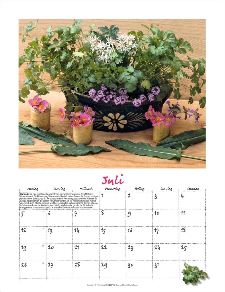 Weitere Ansicht: Augenschmaus Kalender 2027 - Gewürze und Kräuter rund ums Jahr