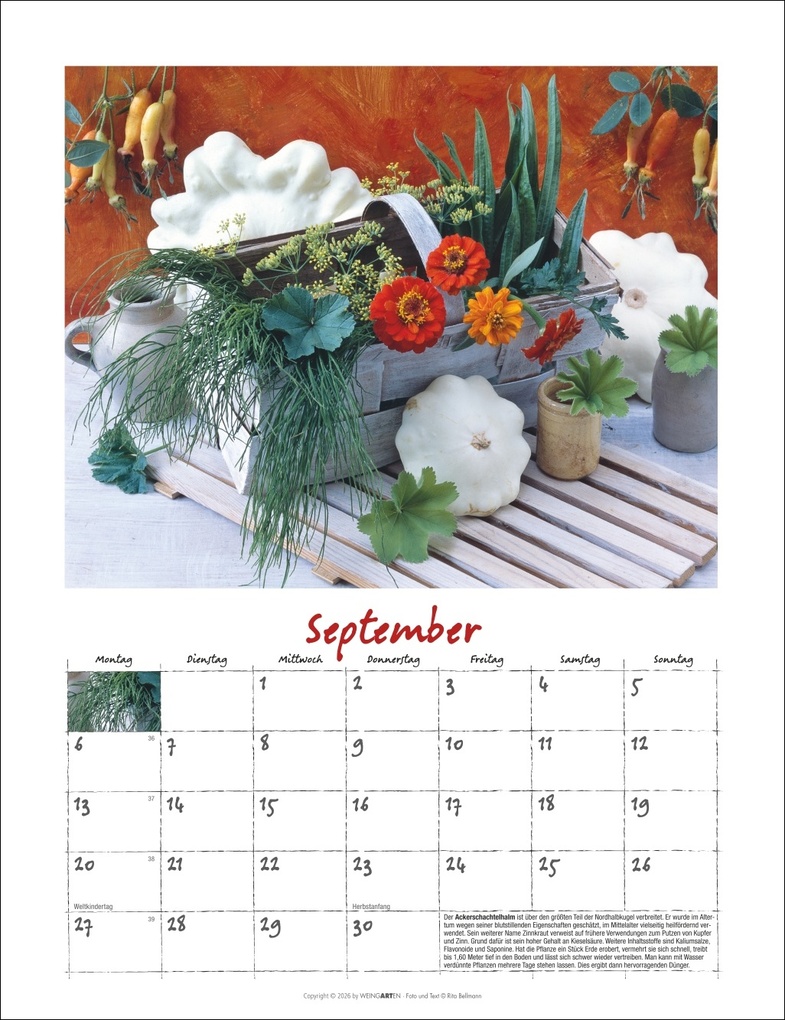 Weitere Ansicht: Augenschmaus Kalender 2027 - Gewürze und Kräuter rund ums Jahr