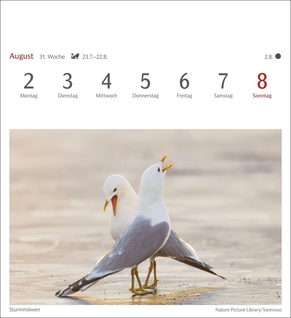 Weitere Ansicht: Heimische Vögel Postkartenkalender 2027 - Wochenkalender mit 53 Postkarten