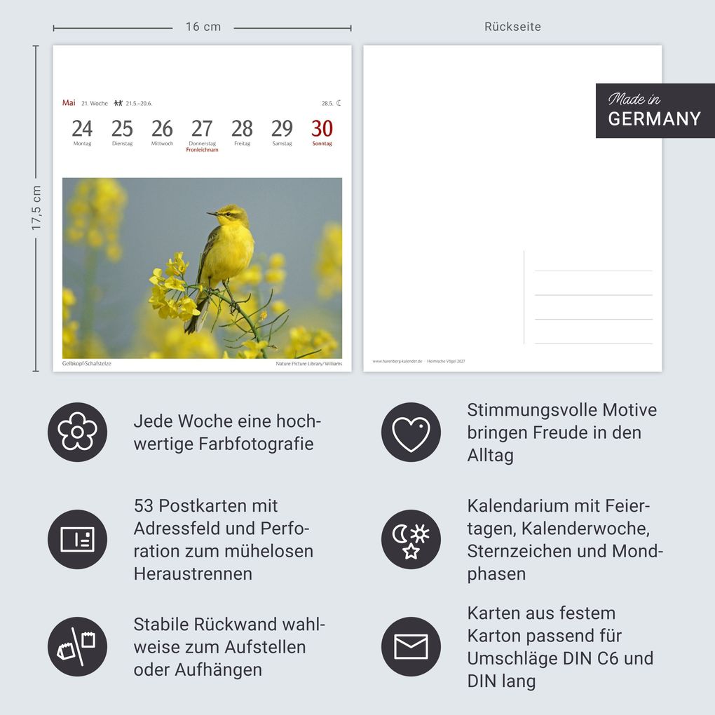 Weitere Ansicht: Heimische Vögel Postkartenkalender 2027 - Wochenkalender mit 53 Postkarten