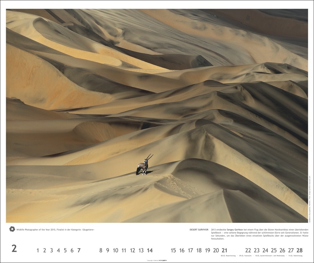 Weitere Ansicht: Meisterwerke der Natur 2027 - Preisgekrönte Naturfotografie